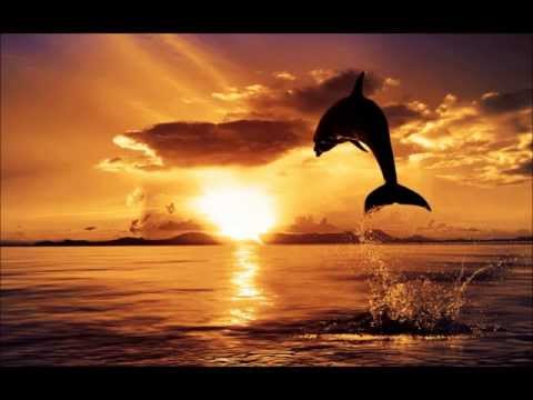 David Guetta & Avicii vs. Laidback Luke - Till Sunshine Lyrics