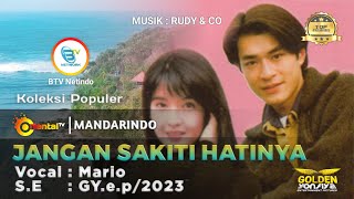 Download lagu MARIO - JANGAN SAKITI HATINYA | Lagu Mandarin Indonesia#mandarindo mp3