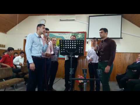 Un grup din Voitinel la Betel Oarja