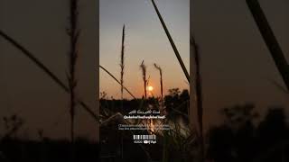 Download lagu STORY WA Terbaru viral 2020 || sholawat allahul kafi mp3 Download lagu STORY WA Terbaru viral 2020 || sholawat allahul kafi mp3