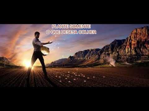 PLANTE SOMENTE O QUE DESEJA COLHER