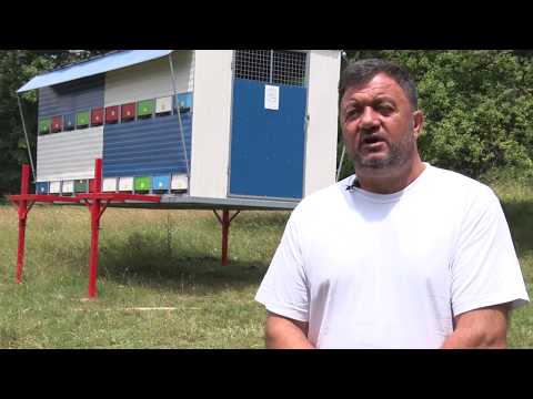 Braća Djordjević pčelari - Gadzin Han