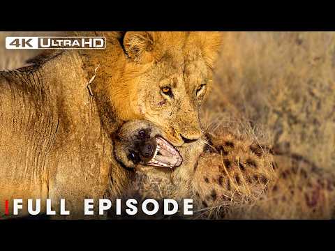 Survival in Africa's Deadliest Arena (Full Episode)