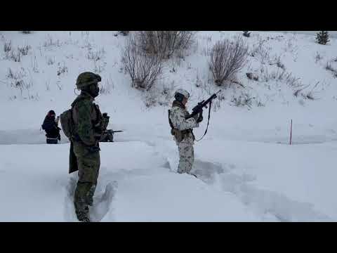 My take on Remote Brutality 2021