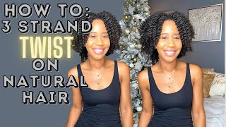 VLOGMAS 2022 DAY 6: How To Do a 3 Strand Twist | Twistout on Type 4 Hair | Gabrielle Ishell
