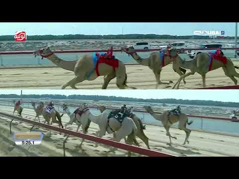  ش 3 (ضئ) لـ هجن الشحانية  9:10:2 , تأهيل المرموم 2026/03/05 ايذاع 