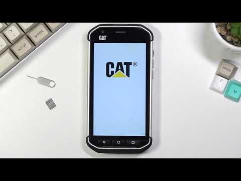 How to Hard Reset CAT S40 via Settings