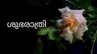 Good Night Wishes Status in Malayalam