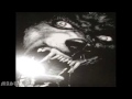 Katharsis - Black Lust 