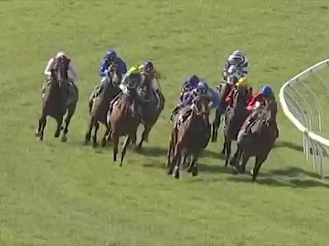 SUPER SATURDAY: Barakey Wins the 2012 Winterbottom Stakes