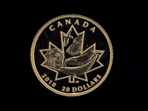 1/10 oz. Pure Gold Coin - Symbols of the North