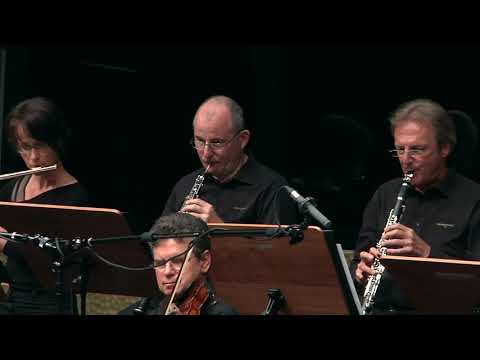 Johann Strauss Ensemble - Windows to the East