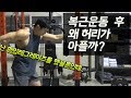 [꿀팁] 복근운동을 했는데 난 왜 허리가 아플까?? :: 행잉레그레이즈 후 허리가 왜 아플까??