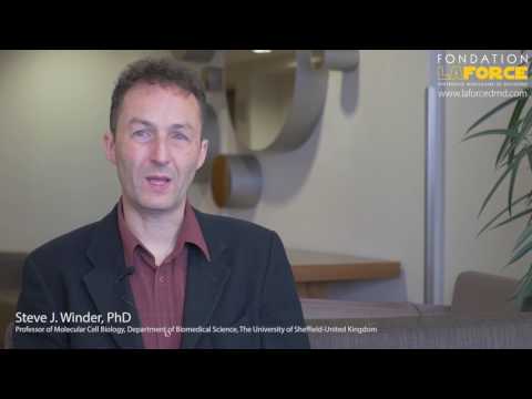 PORTRAIT OF DUCHENNE – Repurposing existing drugs for DMD