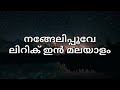 Nangeli Poovee Song Lyrics In Malayalam