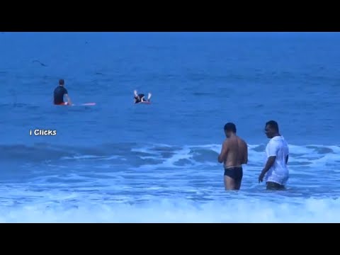 beach romantic and thrilling videos