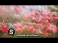TOTAL CHAOS Flares Flying Everywhere During The Pitch Invasion Slavia Praha Vs Sparta Praha