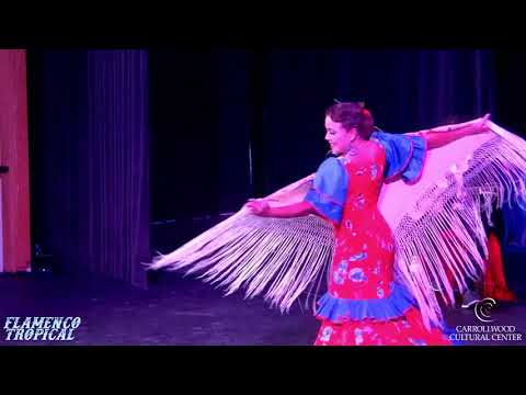 Flamenco Tropical Performance