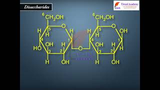 Class 12 Chemistry Disaccharides and Polysaccharides in Chapter 14 Biomolecules