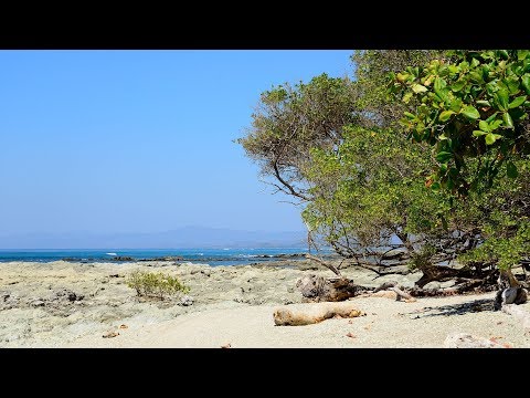 Playa Divina Beach, Cóbano, Costa Rica. Music: Moments by Waking Dreams