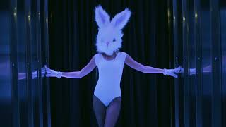 La Vote  Down the Rabbit Hole