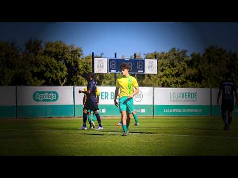  Renato Pereira highlights