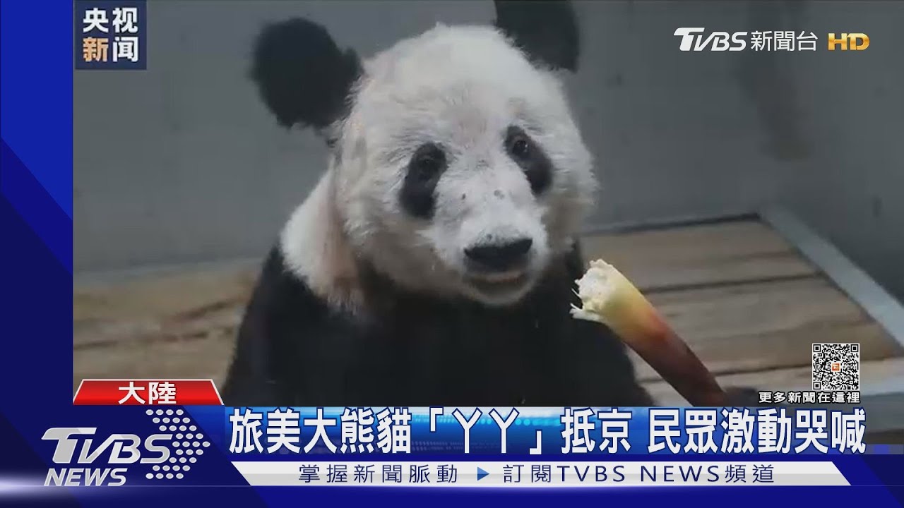 旅美大熊貓「丫丫」抵京 民眾激動哭喊