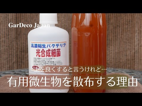 「土壌接種」で収量増加が期待できる