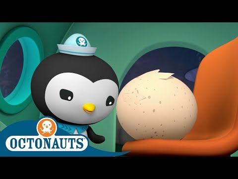 #StayHome Octonauts - The Mysterious Egg | Compilation | Cartoons for Kids