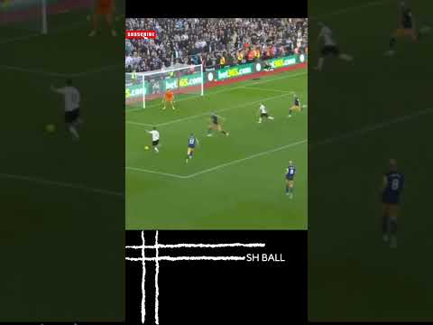 Football Goals 27 | Perraud