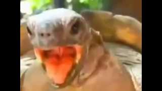 [情報] 記者爆料火箭G4賽後更衣室傳出吼聲 球員