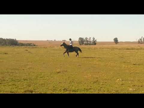 Lote COSCOJA RETOBADA