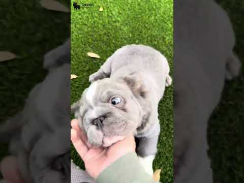 Video 2