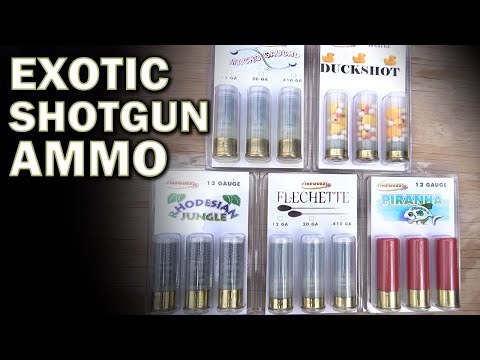 Are Exotic Shotgun Shells Effective? (Tactical Science)