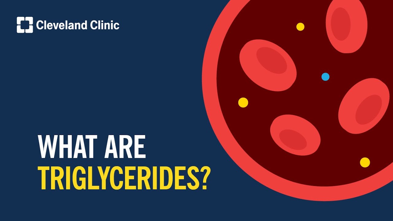 What Are Triglycerides?