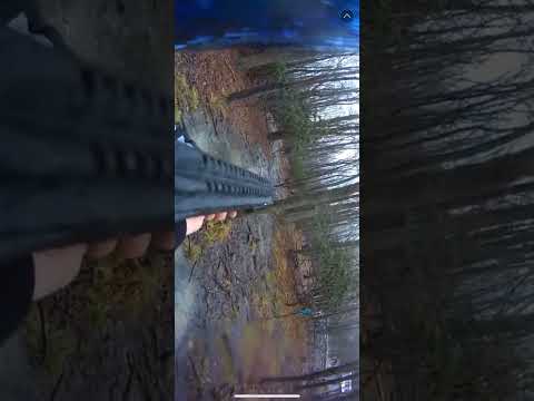 Stalingrad 2024 highlight