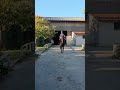 À vendre jument de 8 ans