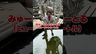 水上どすこいゲームで落ちてビショビショになったわwww #ゲーム #shorts