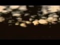 Devandra Banhart - quedate luna