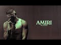 Hawk FLY LO Amiri Official Audio