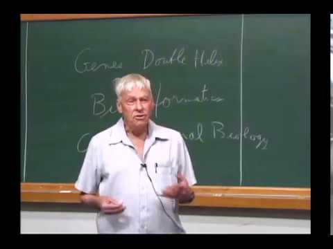 IMPA 60 Anos - Immunology and Protein Folding