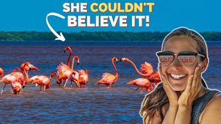 An Experience We'll NEVER Forget🦩 😲 ! Van Life Mexico in the Yucatan Peninsula