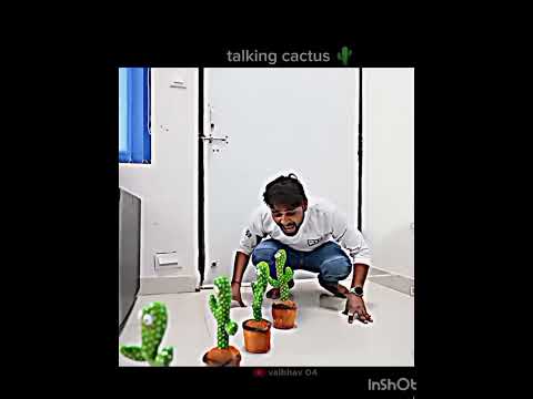 Talking with 100 talking cactus 🌵#shorts#mrindianhcker
