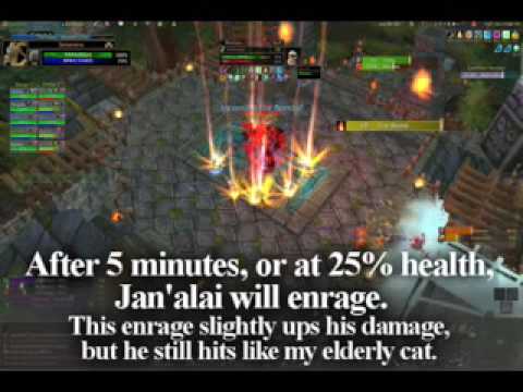How To Jan'alai - Dragonhawk - Zul'Aman