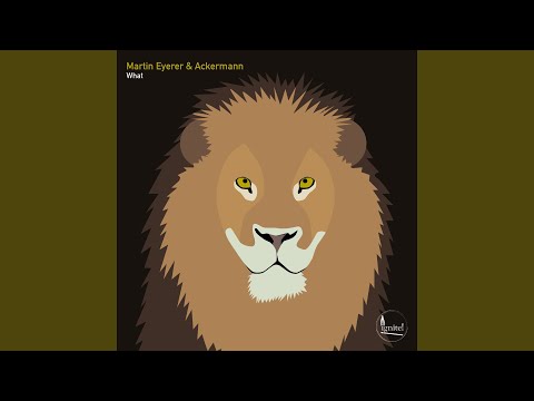 What (Markus Homm Remix)