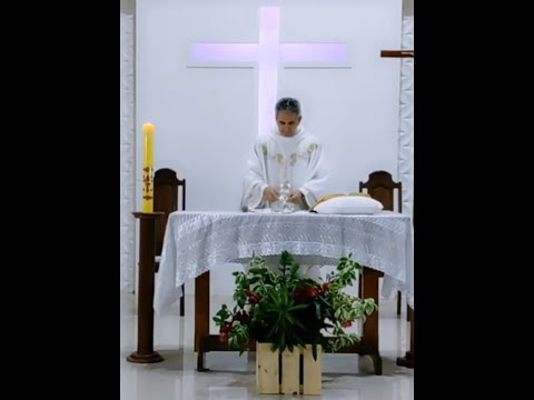 Evangelho e Reflexão - Quarta feira 29/07/2020