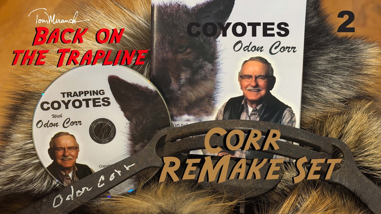 ODON CORR COYOTE REMAKE SET