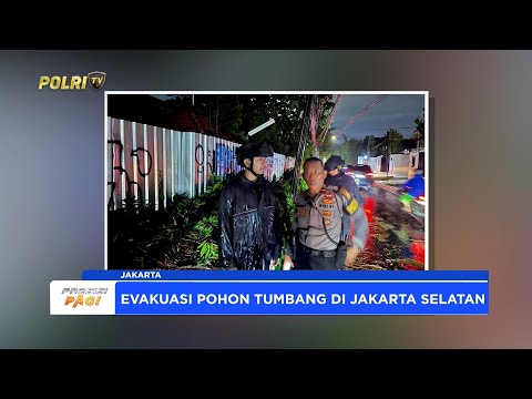 BRIMOB POLDA METRO BERSIHKAN MATERIAL POHON TUMBANG SEHINGGA LALU LINTAS KEMBALI NORMAL