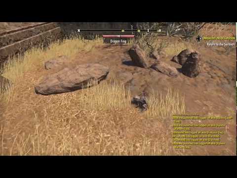 The Dragon Frog of Elsweyr - The Elder Scrolls Online