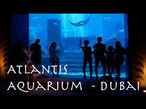 Dubai's Atlantis Aquarium, Come a long as I tour one of the best aquariums in the World.